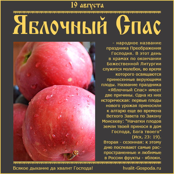 19 августа – Яблочный Спас.