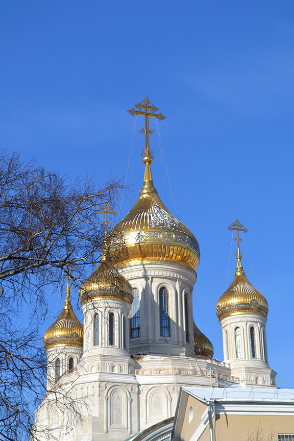 Купола храма Рождества Христова и Новомучеников и исповедников Церкви Русской.