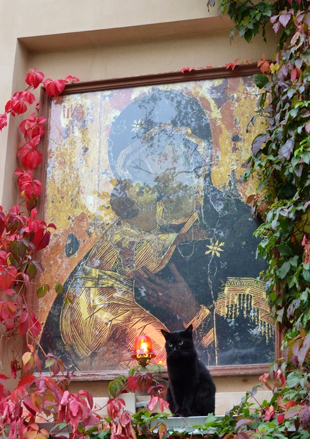 Владимирская икона Божией Матери на территории монастыря. "всякое дыхание да хвалит Господа!".